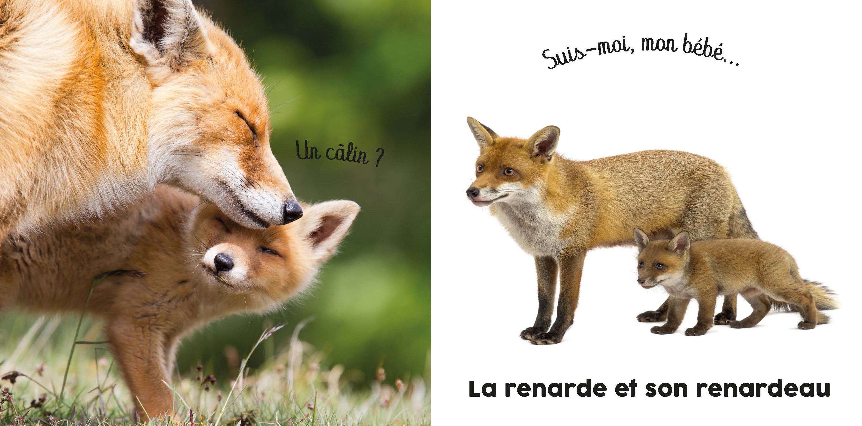 BEBE TOUCHE-A-TOUT - AVEC MAMAN
