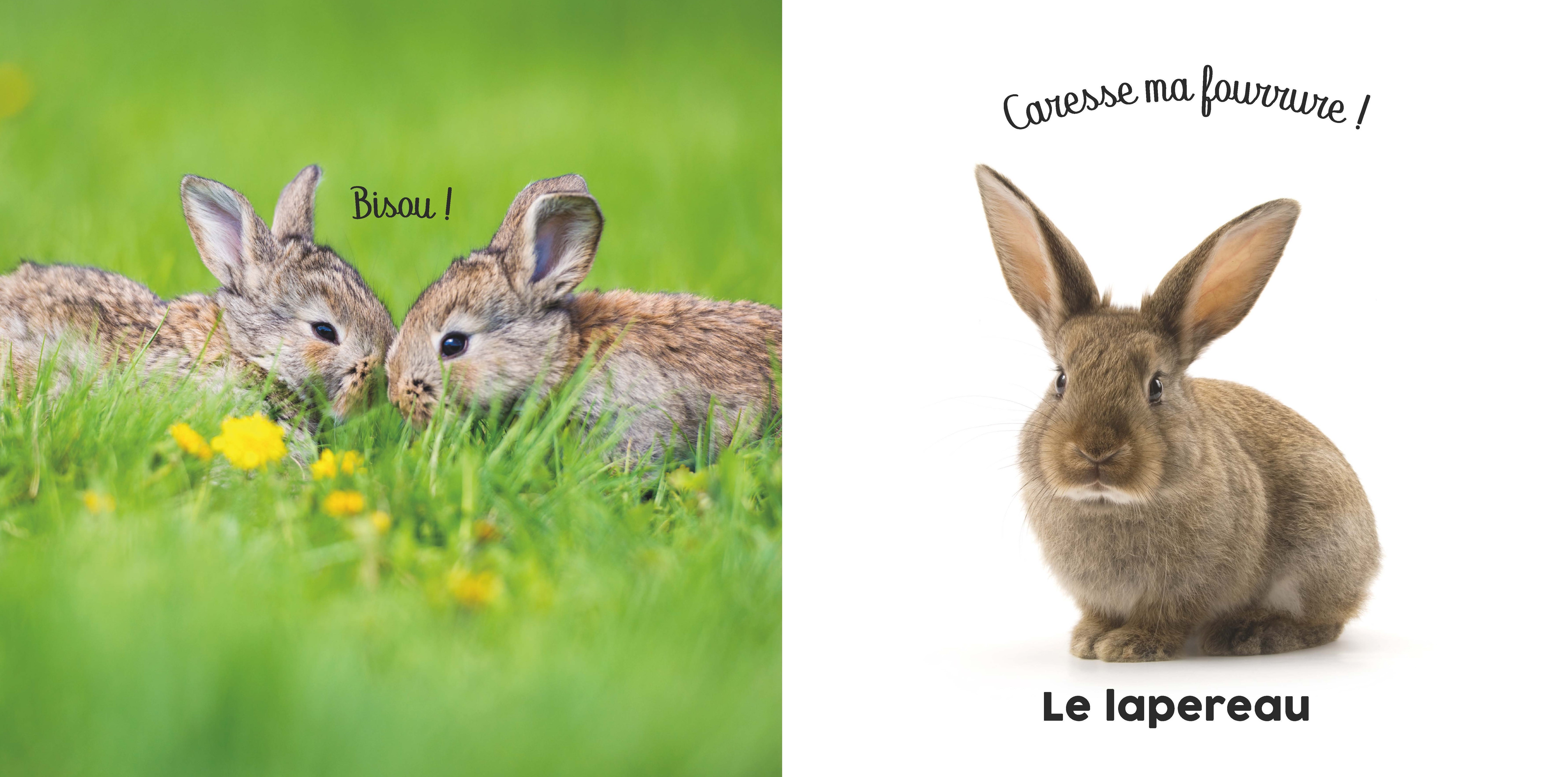BEBE TOUCHE-A-TOUT - BEBES TOUT DOUX