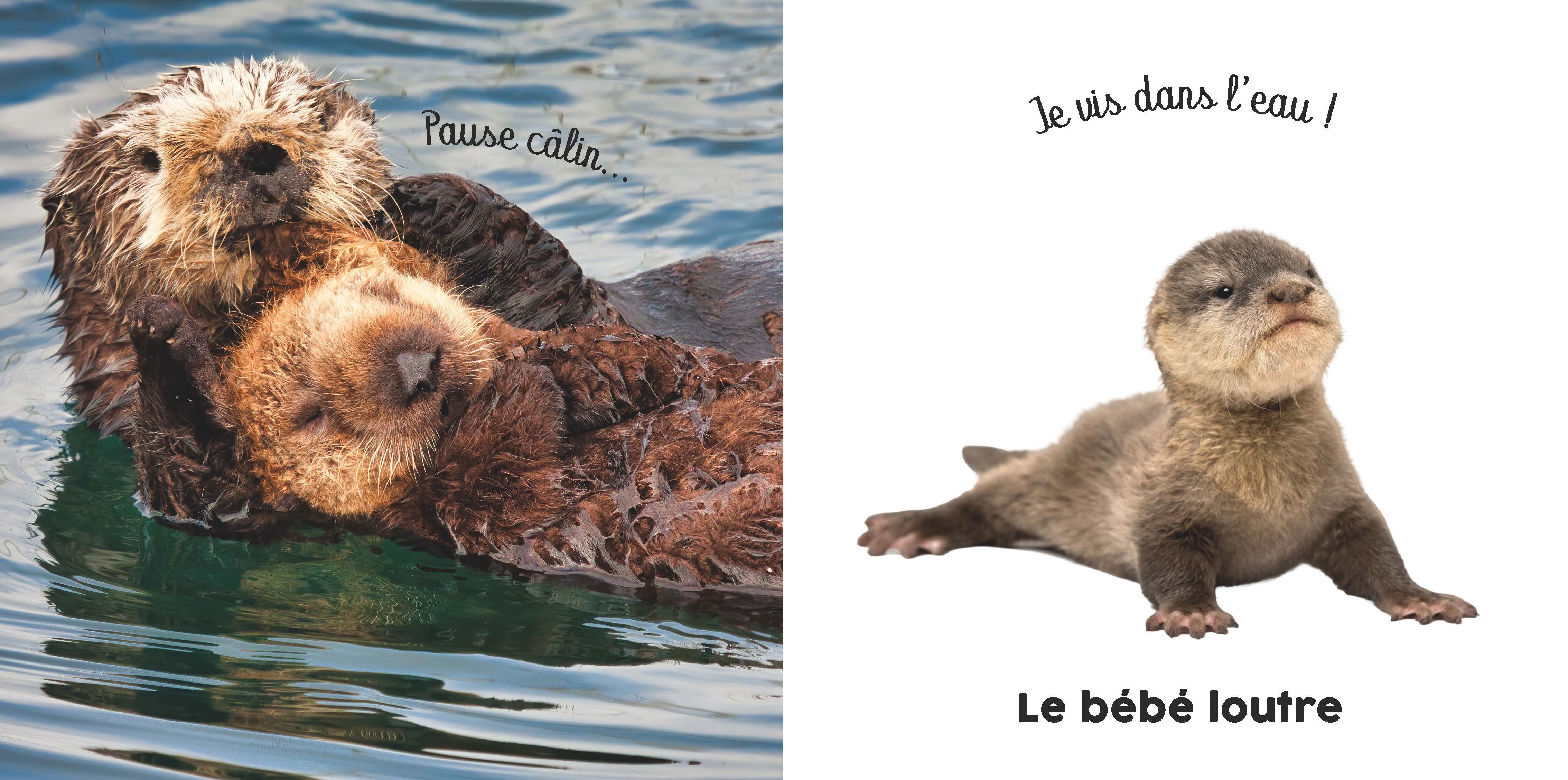 BEBE TOUCHE-A-TOUT - BEBES TOUT DOUX