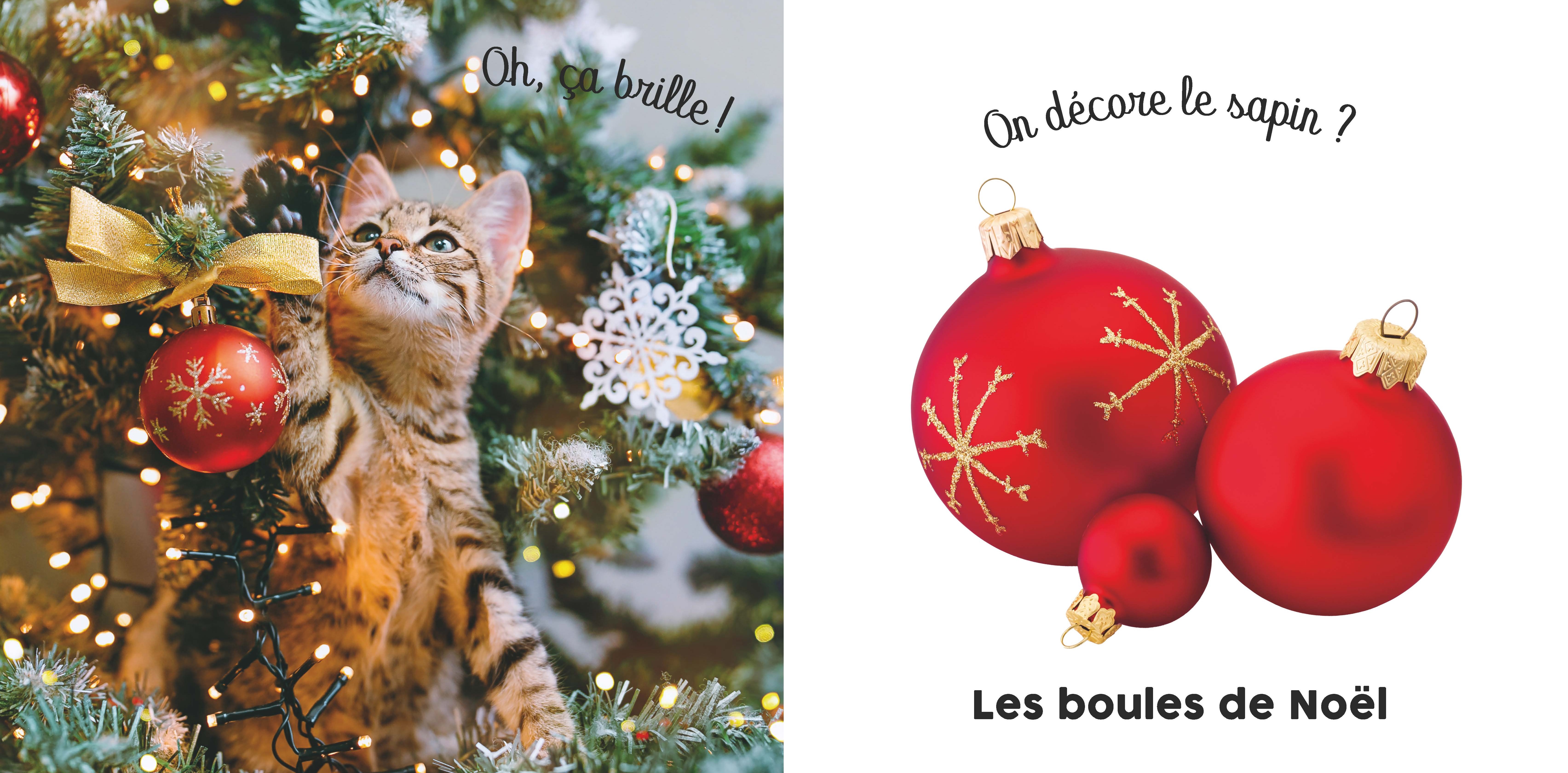 BEBE TOUCHE-A-TOUT - C