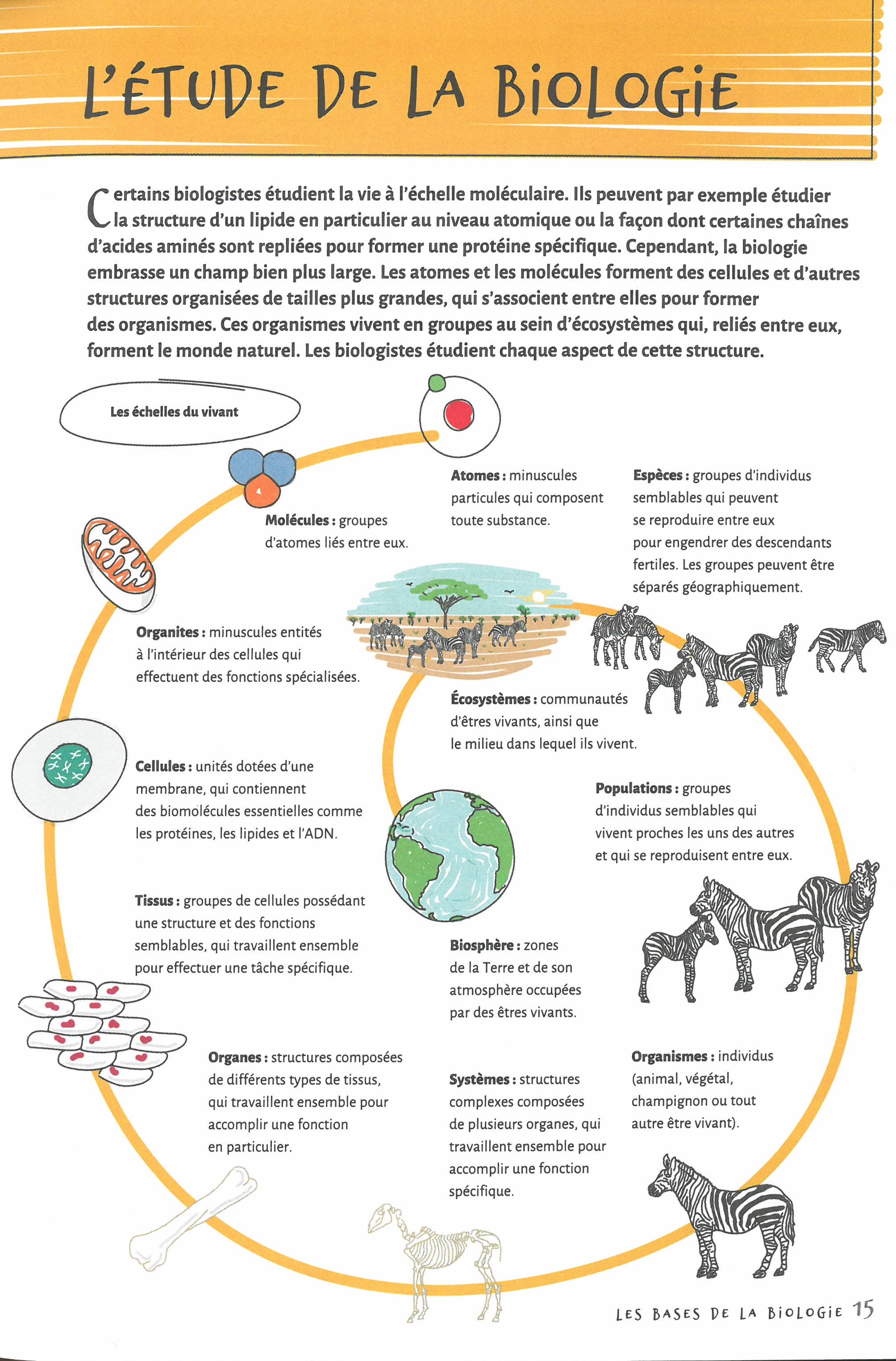 LES BASES DE LA BIOLOGIE EN 70 NOTIONS ILLUSTREES 