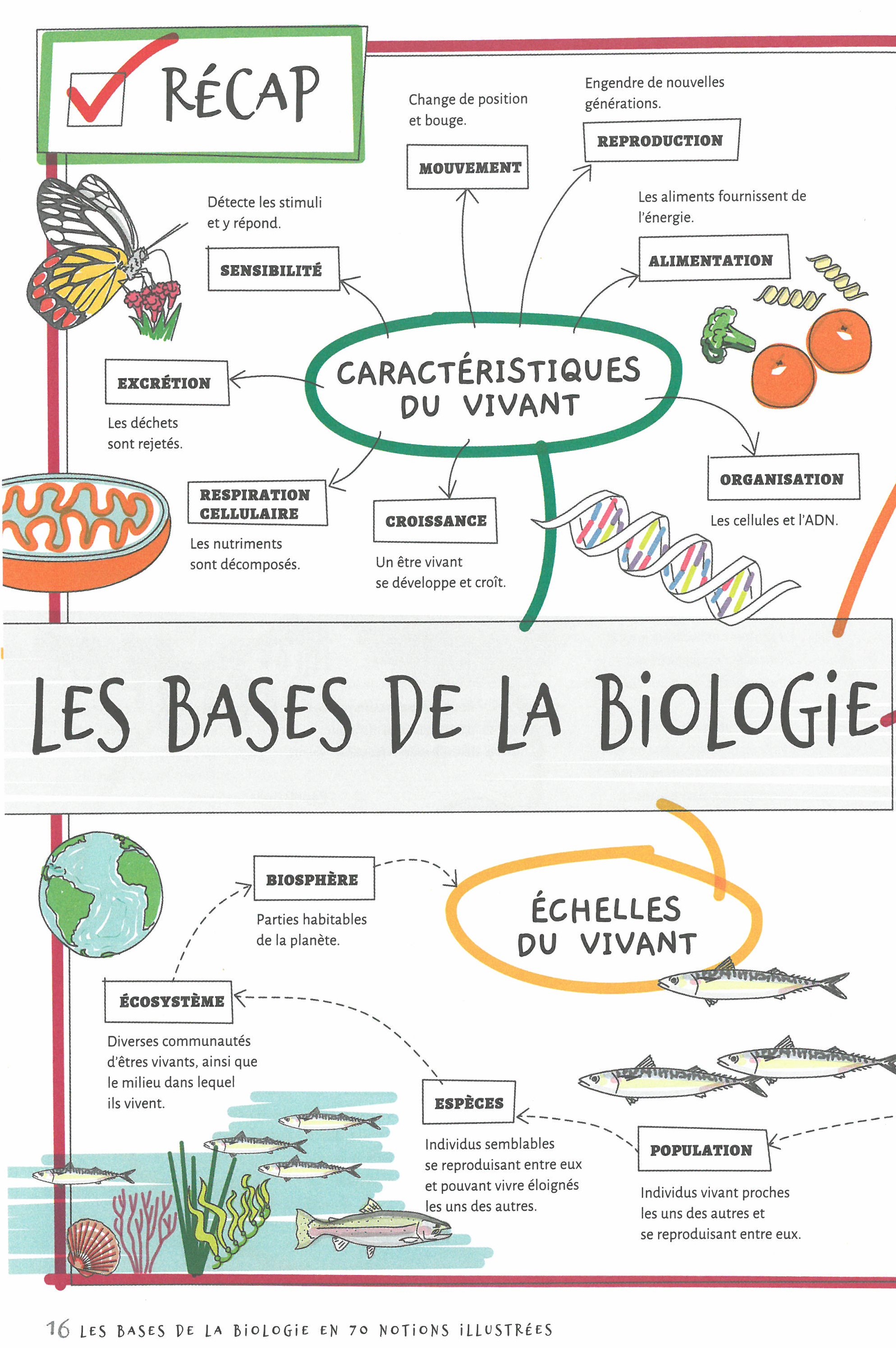 LES BASES DE LA BIOLOGIE EN 70 NOTIONS ILLUSTREES 