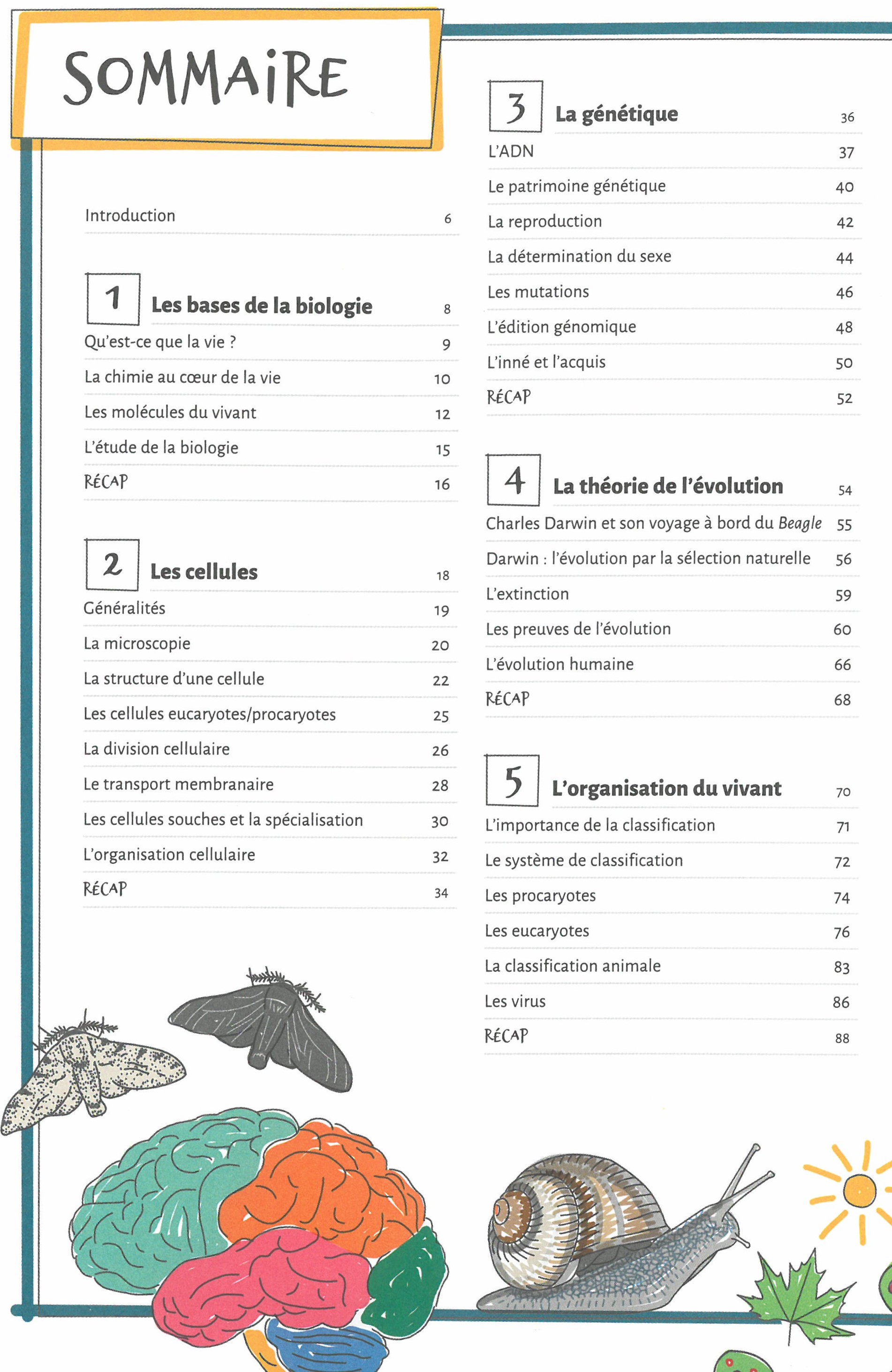 LES BASES DE LA BIOLOGIE EN 70 NOTIONS ILLUSTREES LES BASES DE LA BIOLOGIE EN 70 NOTIONS ILLUSTREES