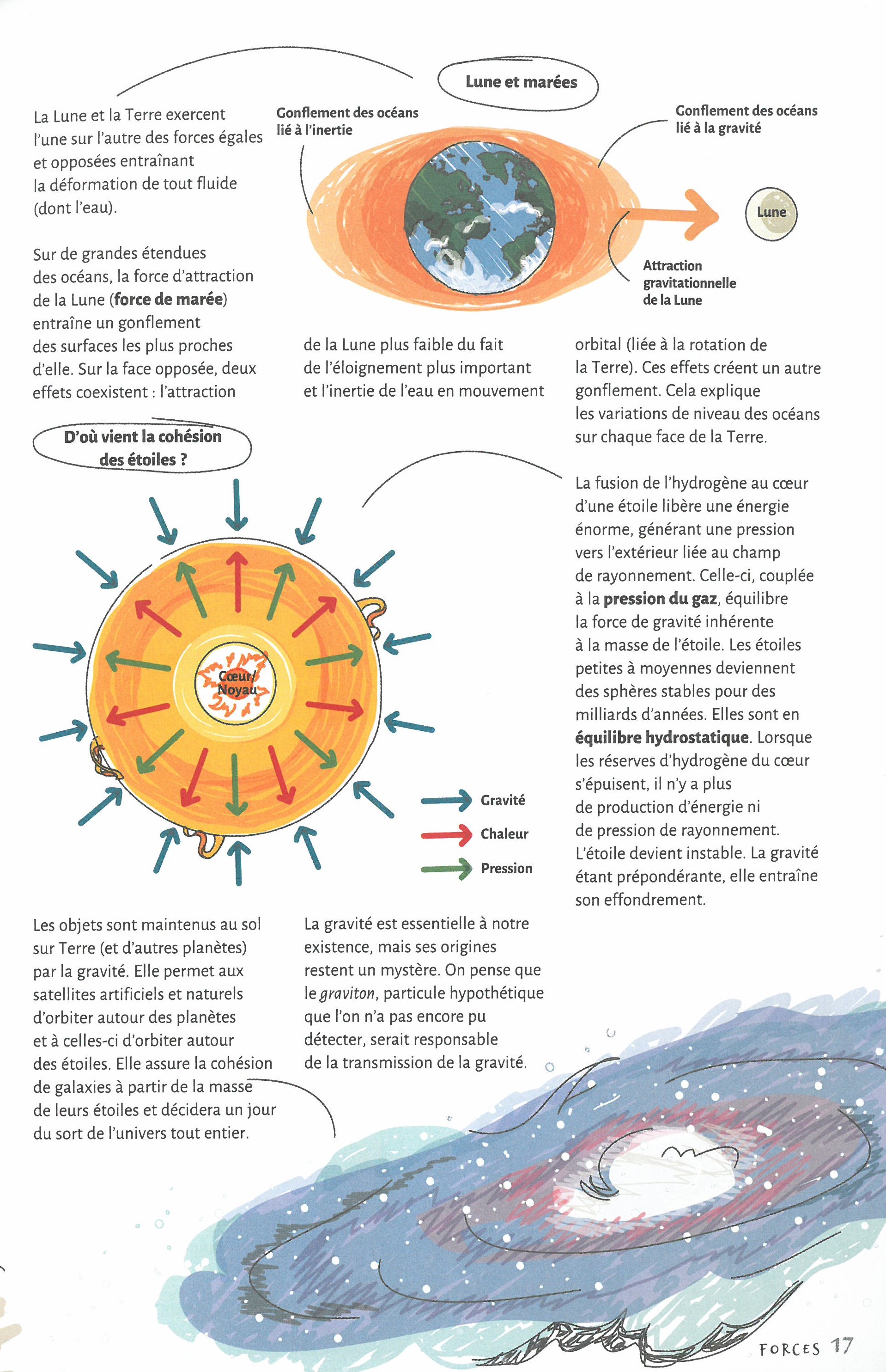 LES BASES DE LA PHYSIQUE EN 60 NOTIONS ILLUSTREES LES BASES DE LA PHYSIQUE EN 60 NOTIONS ILLUSTREES