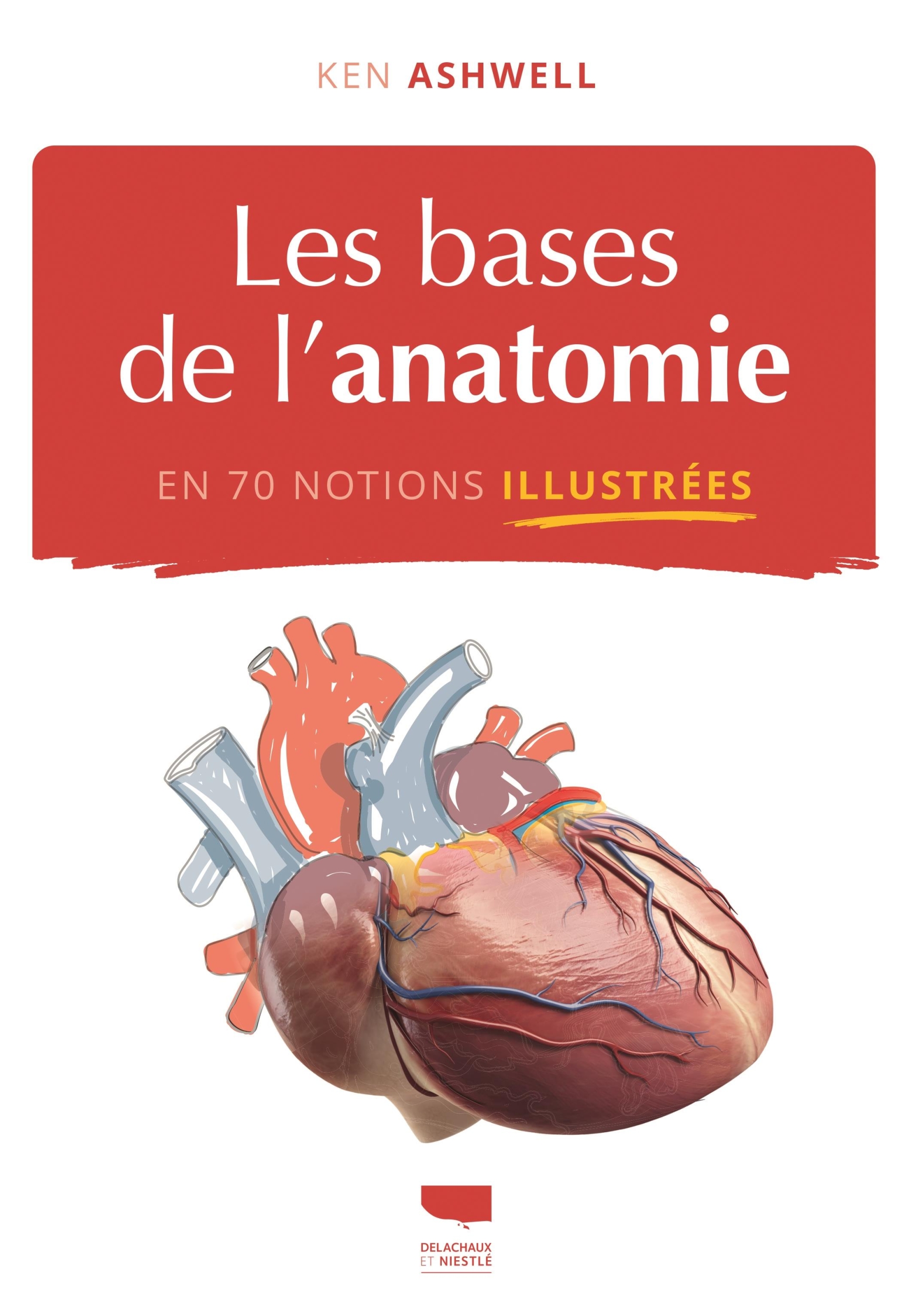 LES BASES DE L