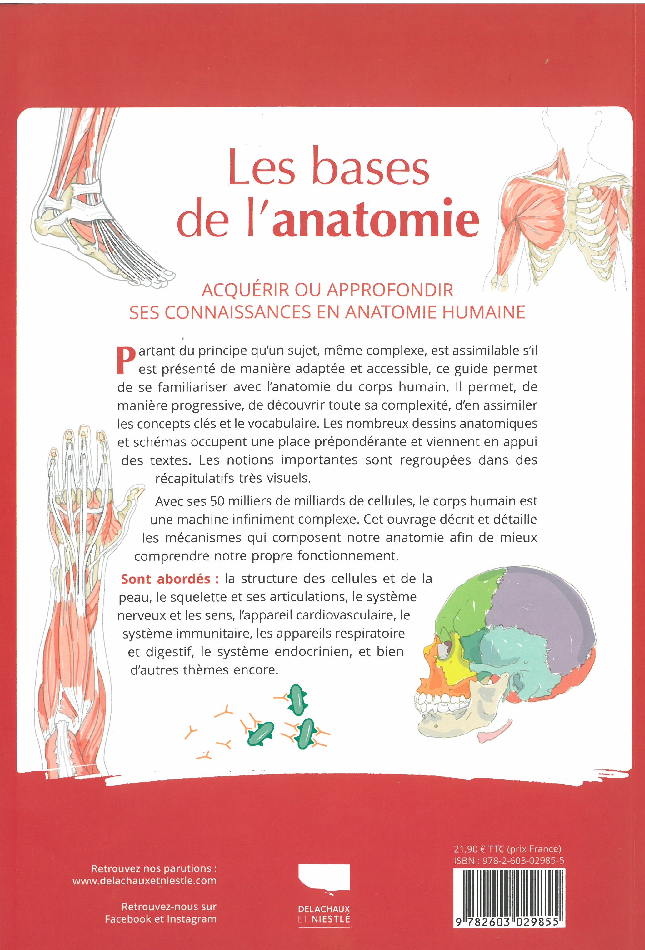 LES BASES DE L LES BASES DE L