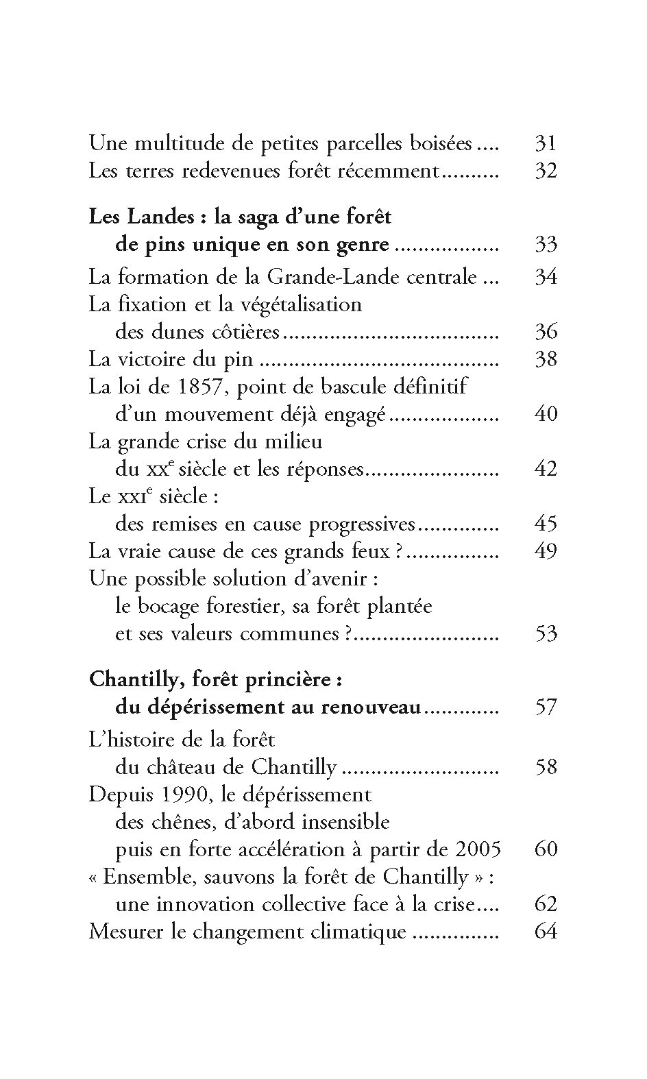 LA FORET DU FUTUR