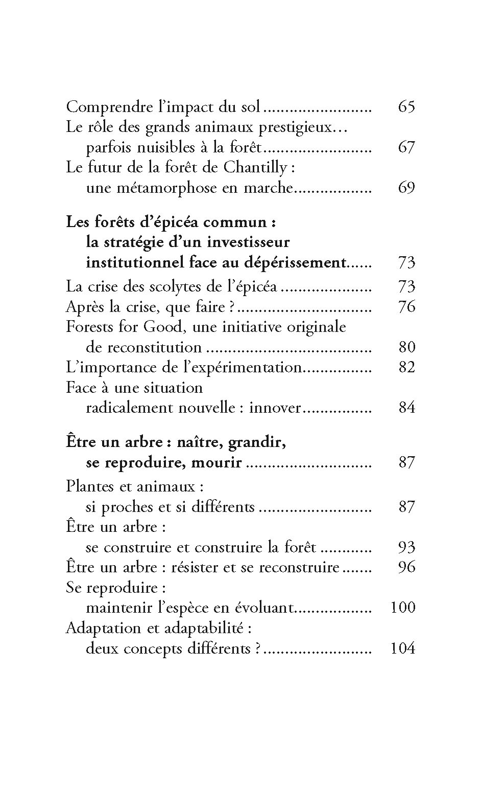 LA FORET DU FUTUR