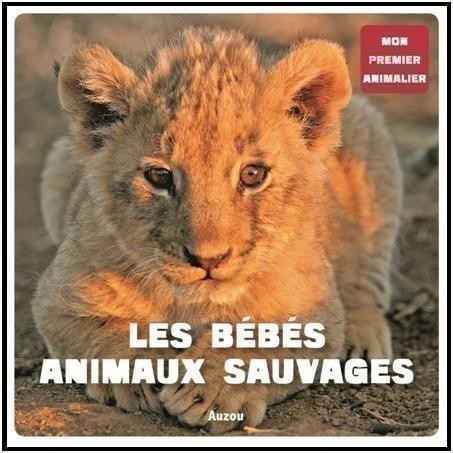Mon Premier Doc Photo - Les Bebes Animaux Sauvages (Coll. Mon Premieranimalier)