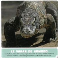 LES ANIMAUX GEANTS