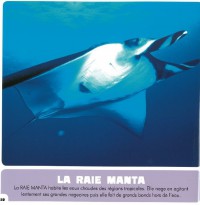 LES ANIMAUX GEANTS