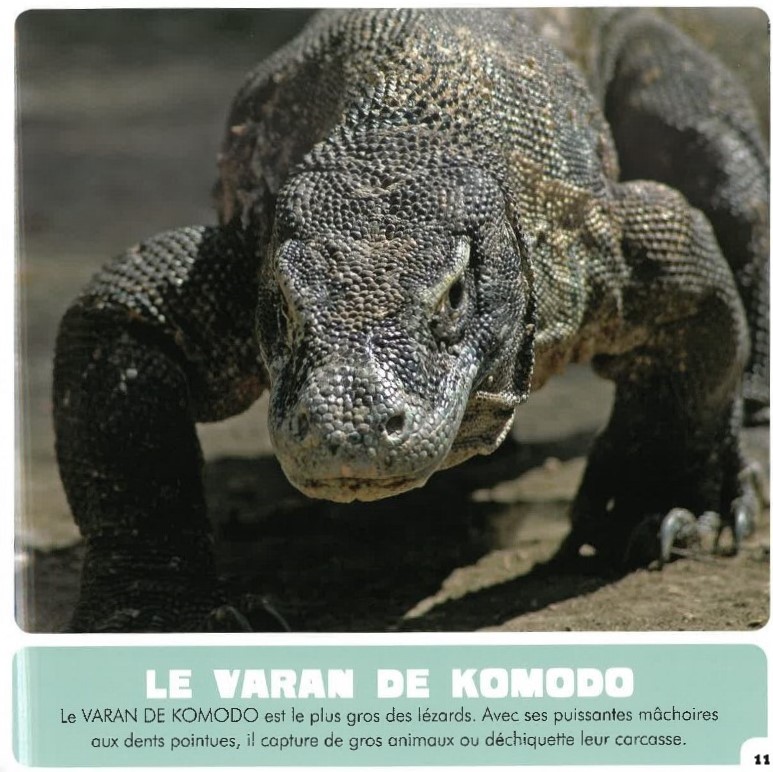 LES ANIMAUX GEANTS