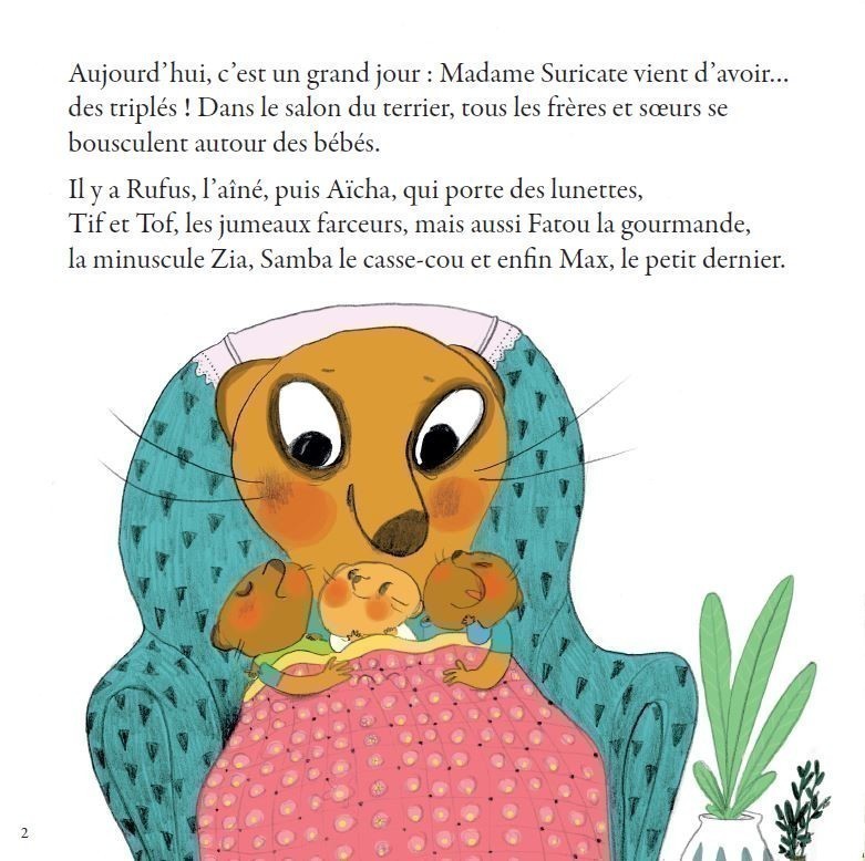 La Famille Suricate Déménage