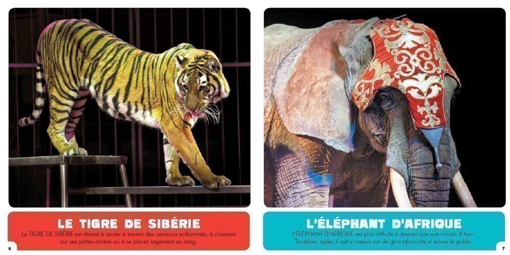 Mon Premier Doc Photo - Les Animaux Du Cirque