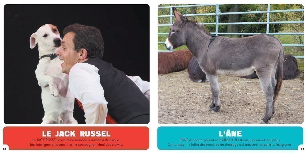 Mon Premier Doc Photo - Les Animaux Du Cirque