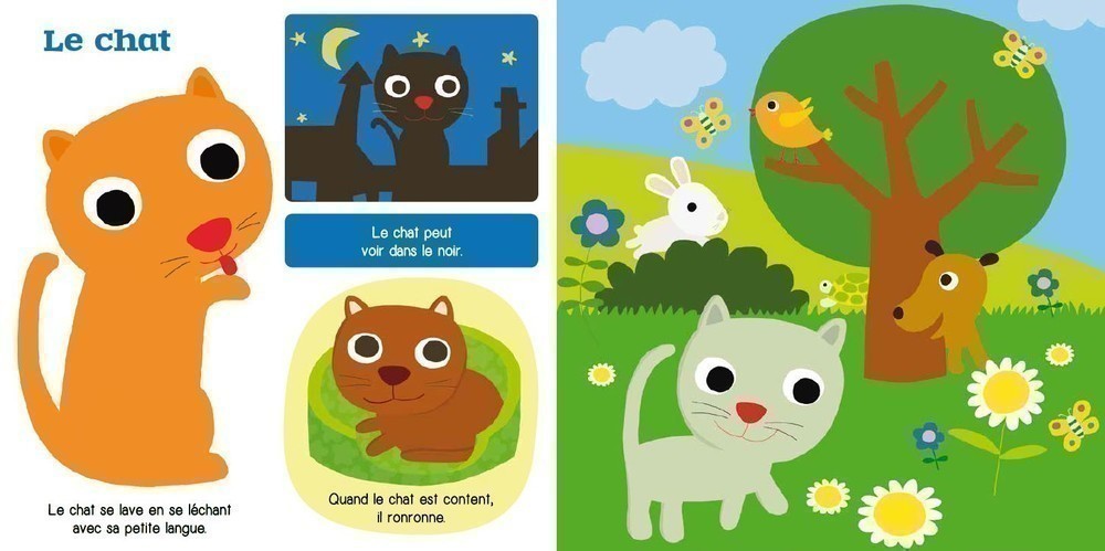 Les Animaux De Compagnie