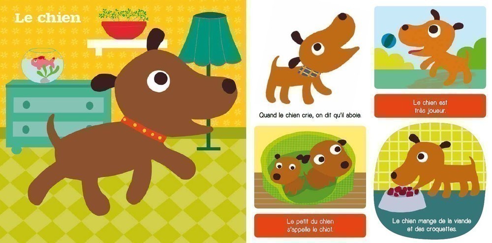 Les Animaux De Compagnie