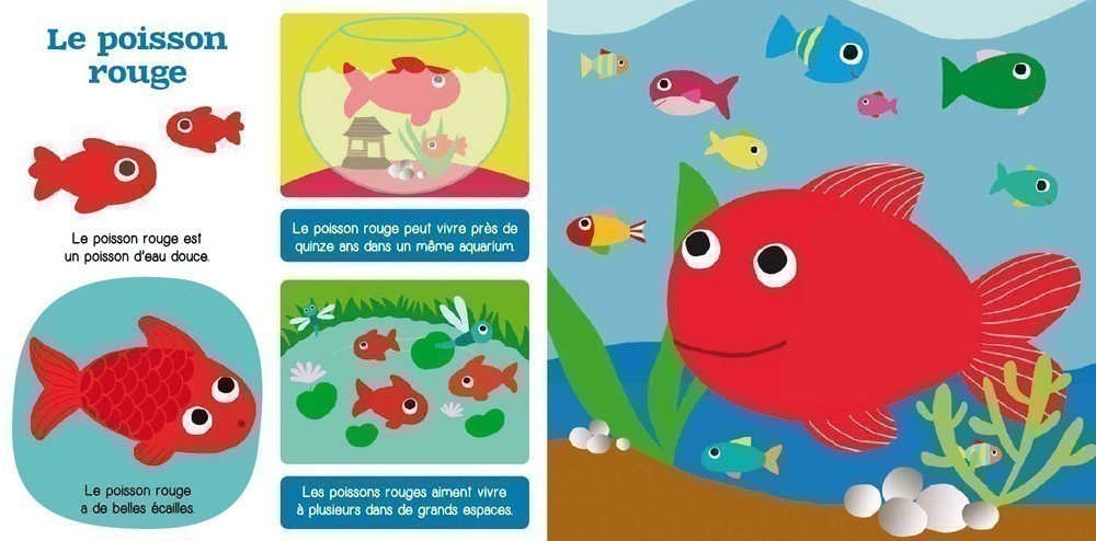 Les Animaux De Compagnie