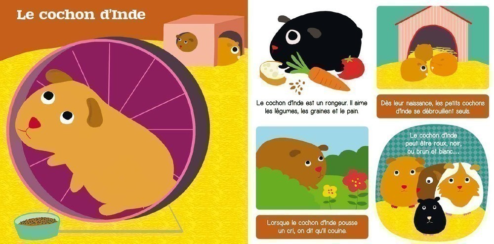 Les Animaux De Compagnie