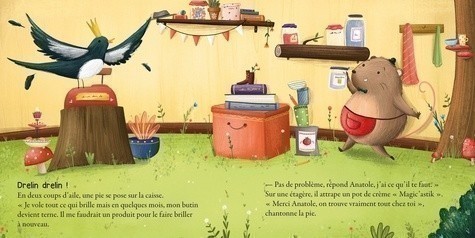 The Shop Of Anatole The Vole