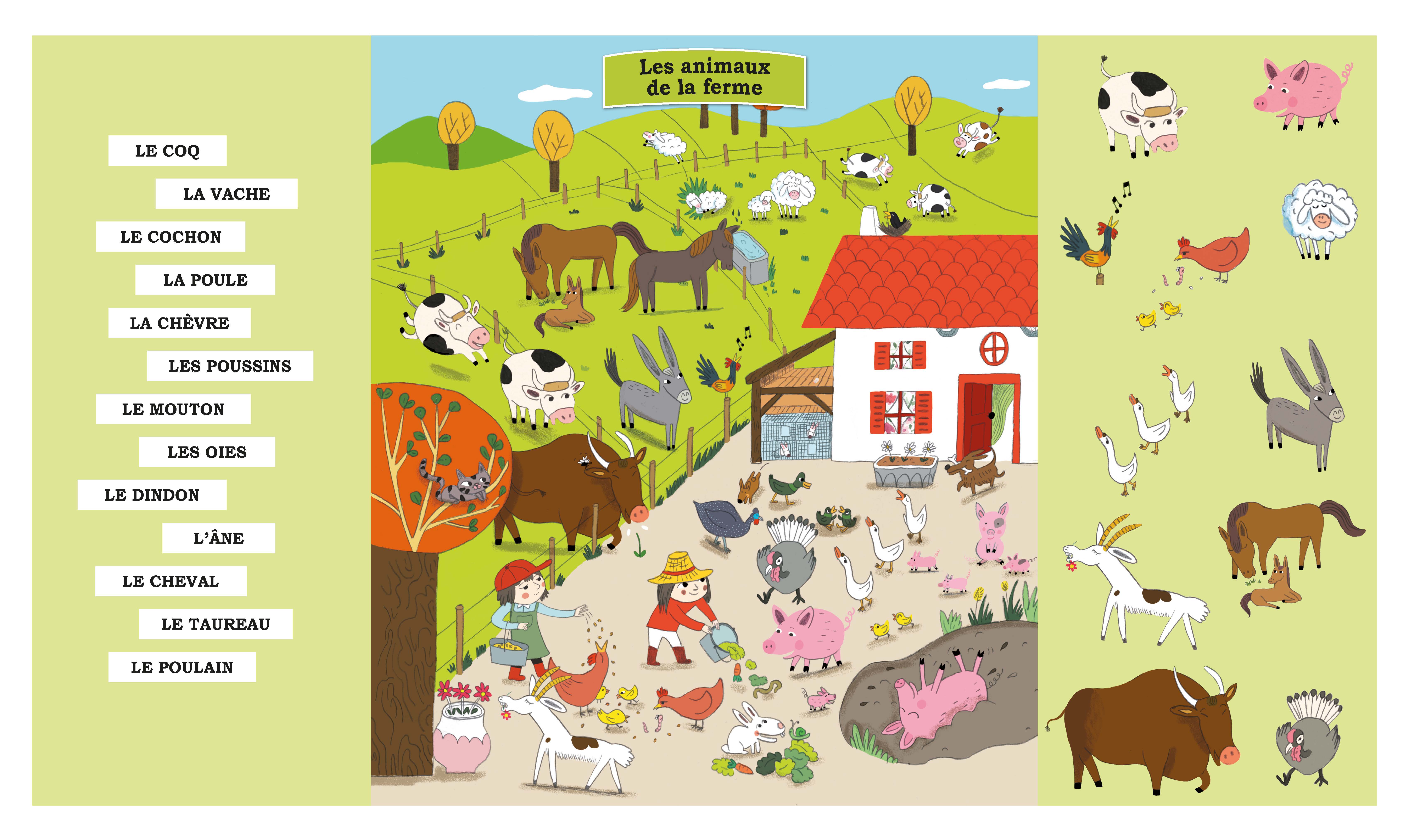 KAMISHIBAI MES PREMIERS ANIMAUX A DECOUVRIR