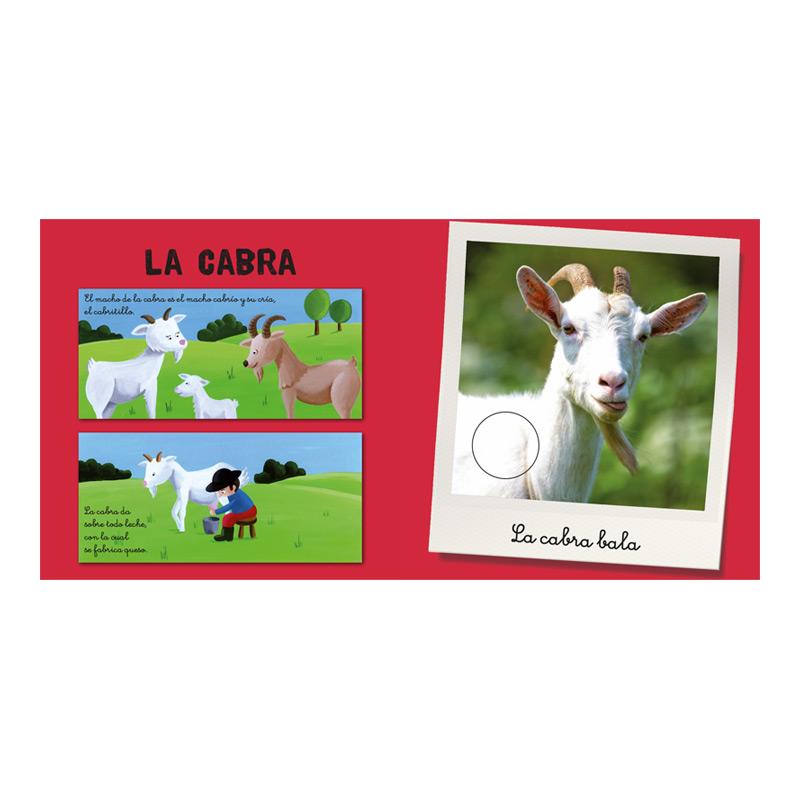 Mi Cofre De Animales De La Granja
