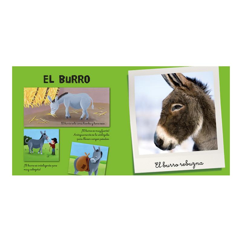 Mi Cofre De Animales De La Granja