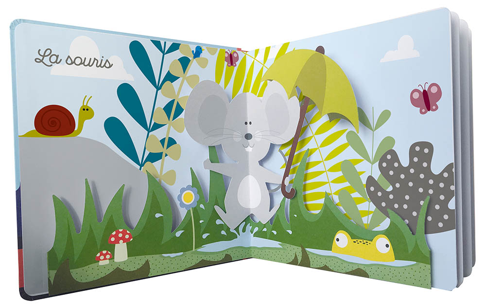 Mon Livre Pop-Up Des Animaux