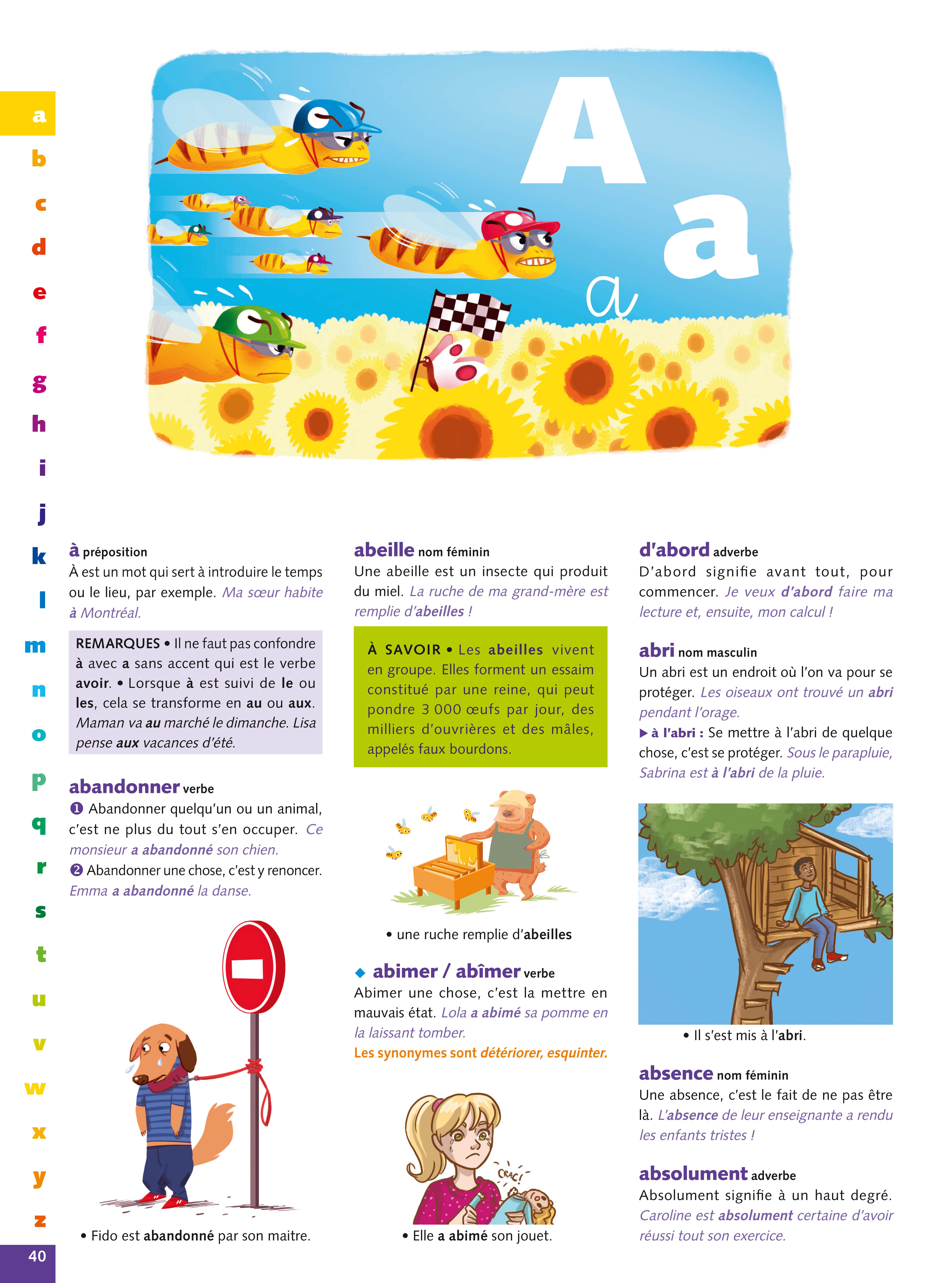 DICTIONNAIRE DE FRANCAIS DEBUTANT (GRAND FORMAT SOUPLE)