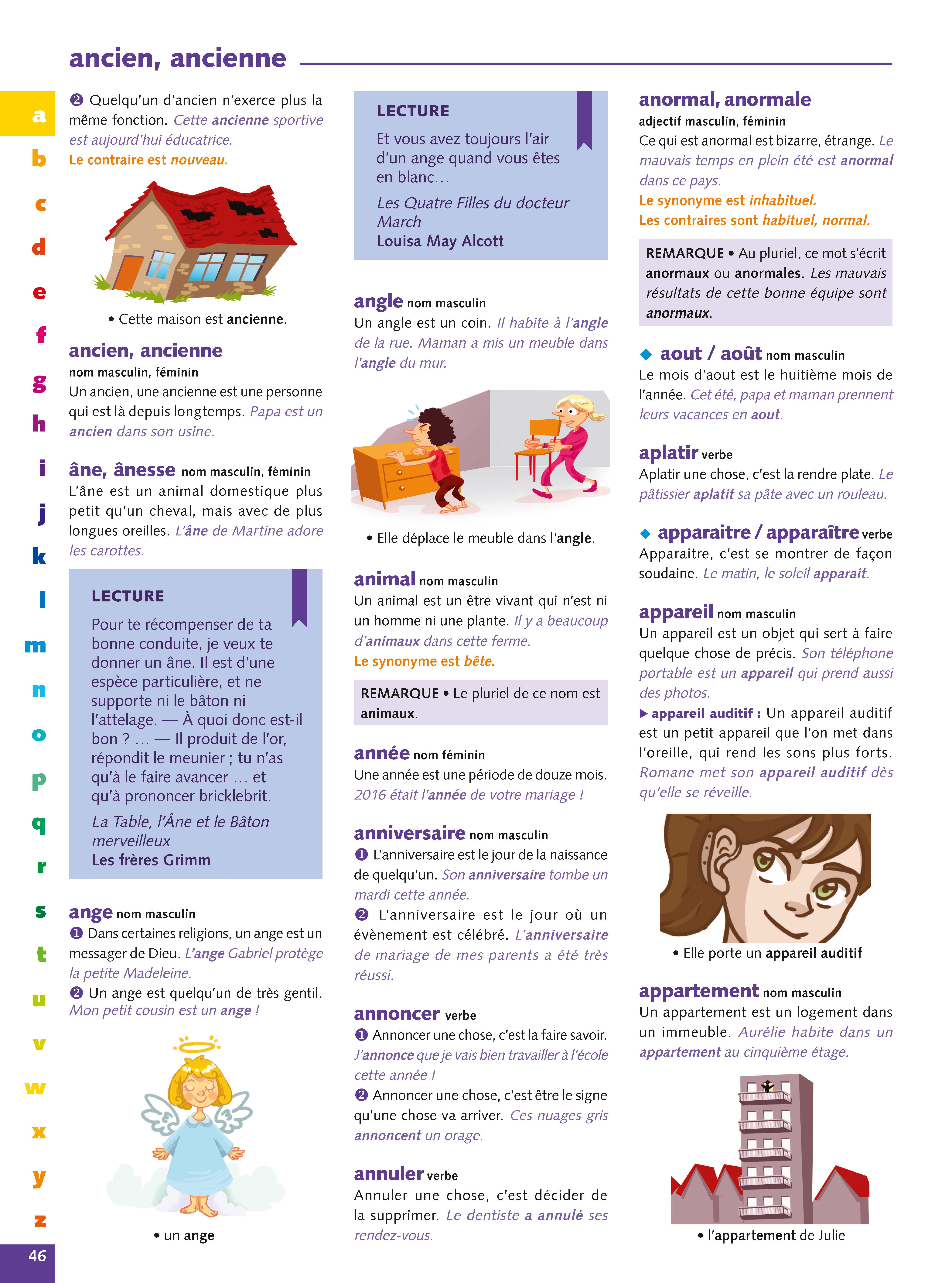 DICTIONNAIRE DE FRANCAIS DEBUTANT (GRAND FORMAT SOUPLE)