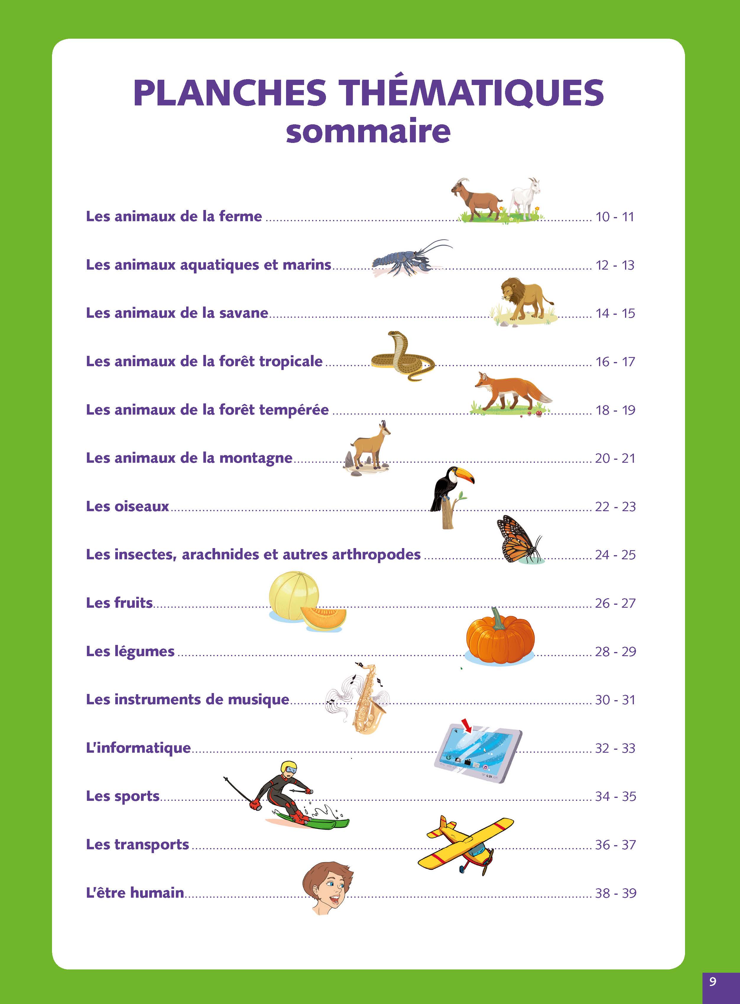DICTIONNAIRE DE FRANCAIS DEBUTANT (GRAND FORMAT SOUPLE) DICTIONNAIRE DE FRANCAIS DEBUTANT (GRAND FORMAT SOUPLE)