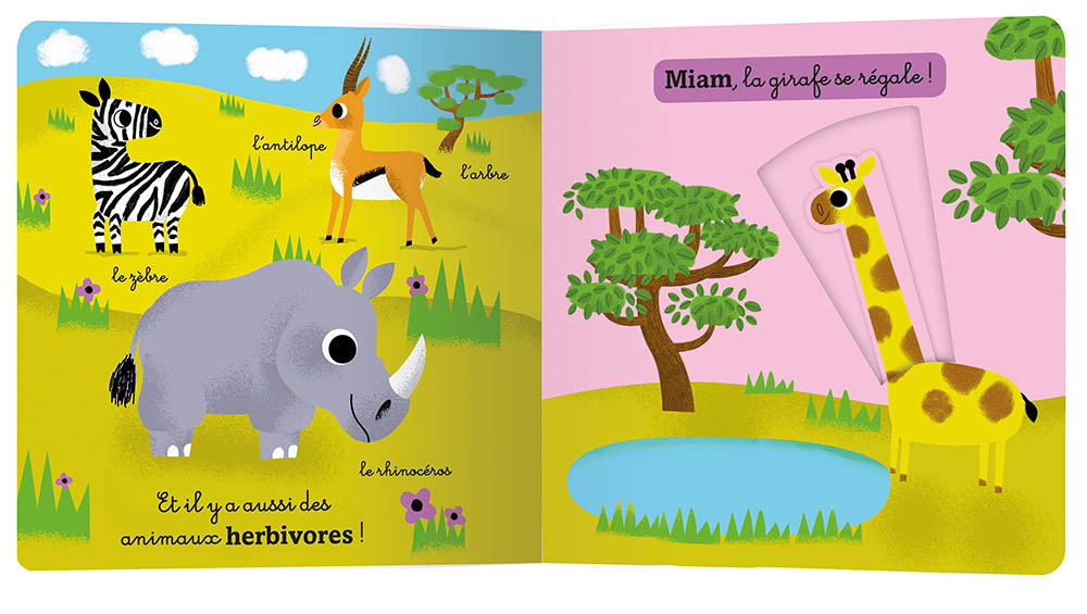La Jungle Et La Savane