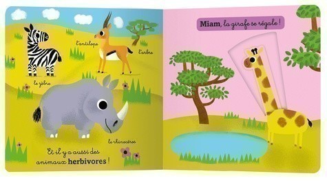 The Jungle And Savannah Animals