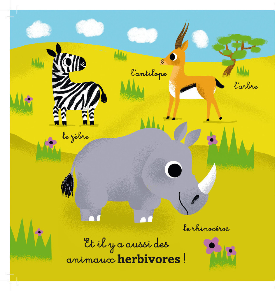 The Jungle And Savannah Animals