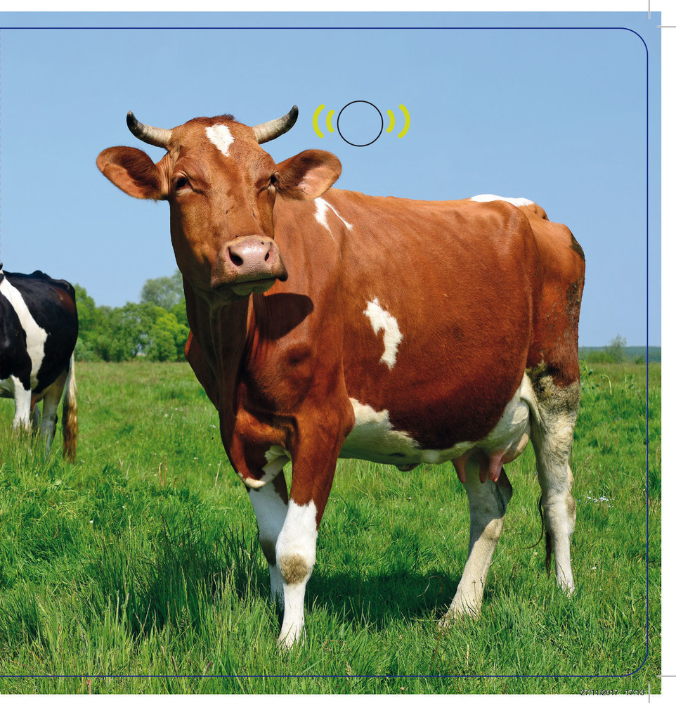 Les Animaux De La Ferme