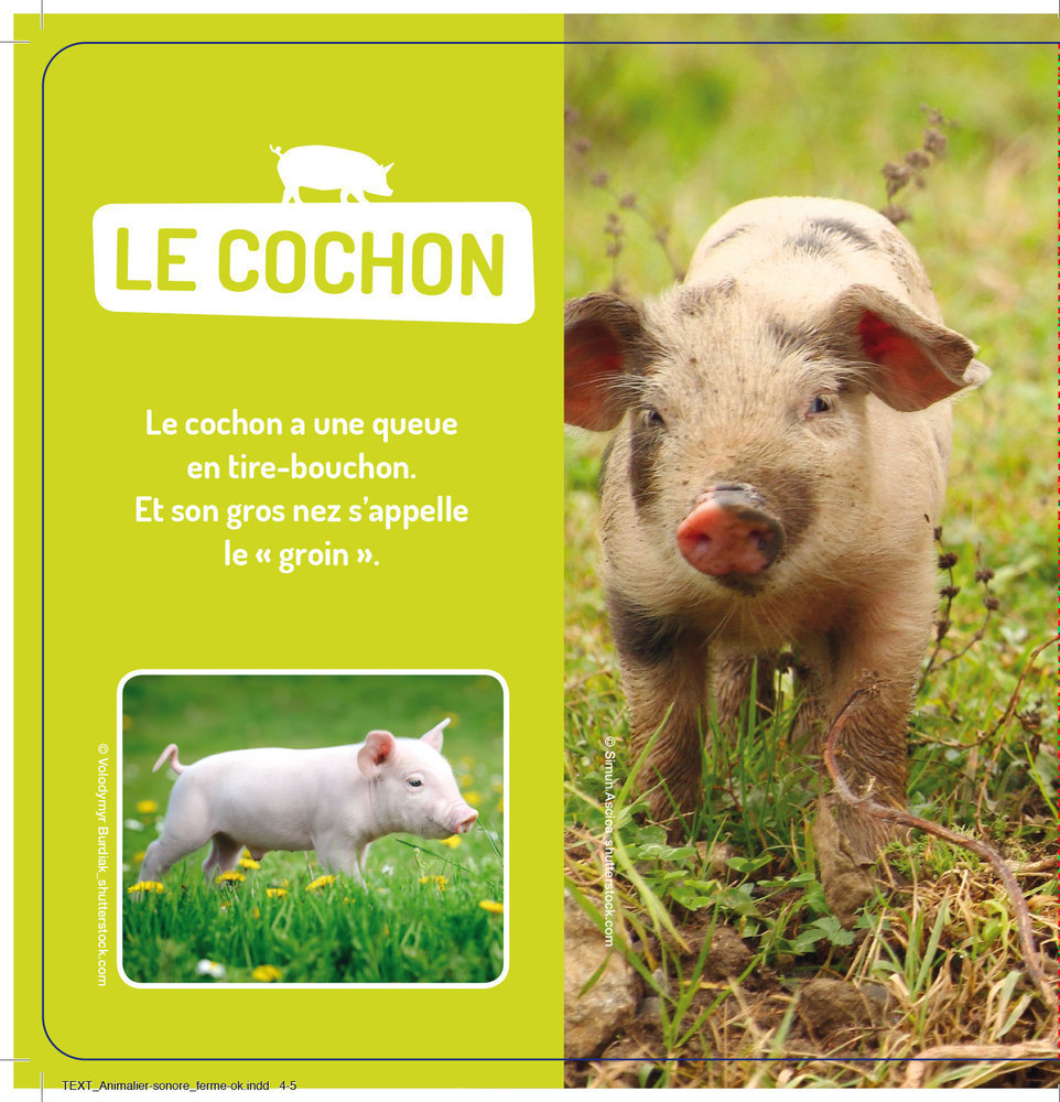 Les Animaux De La Ferme