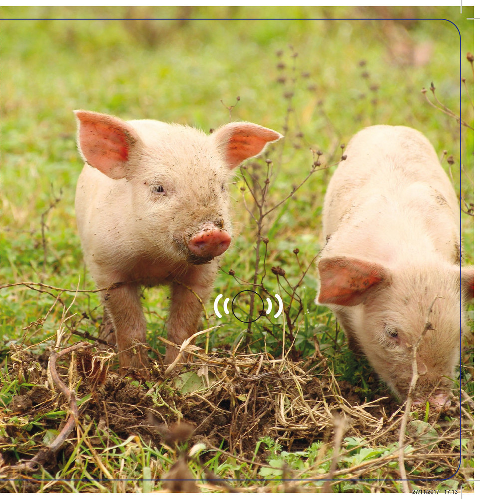 Les Animaux De La Ferme