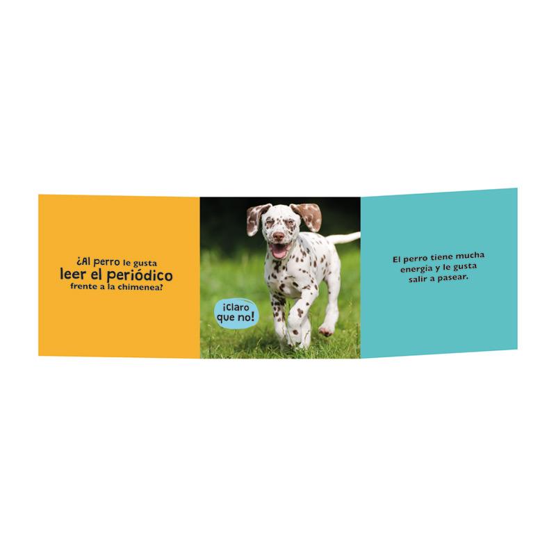 Animascopio. Animales Domésticos