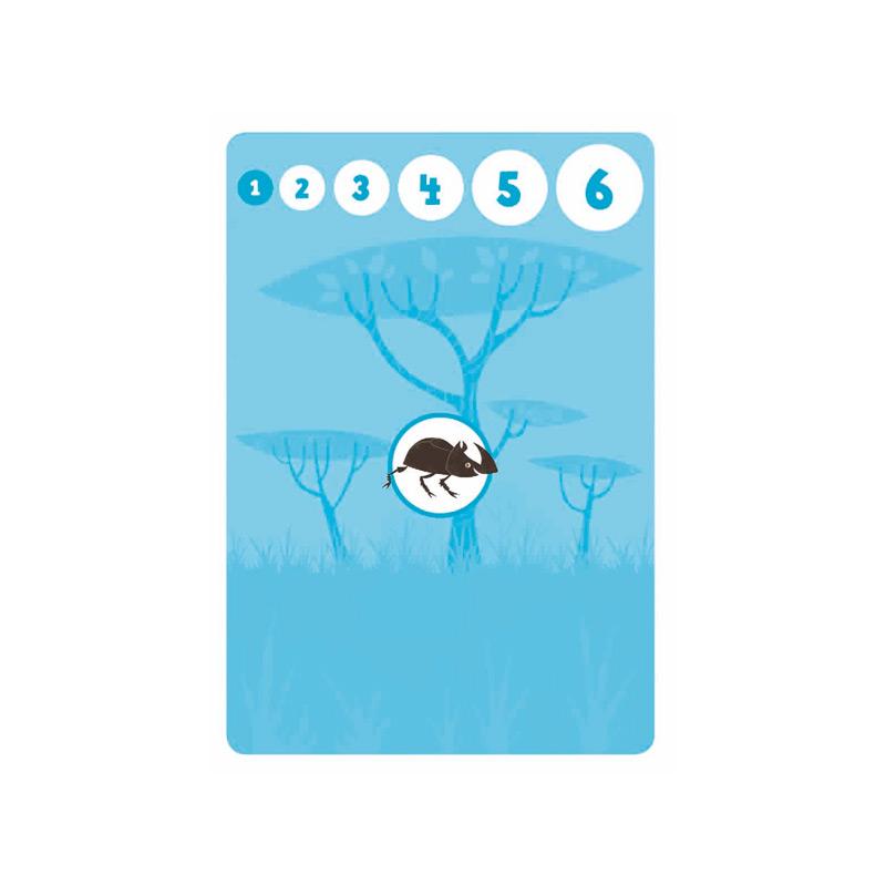 Juego De Cartas Batallas