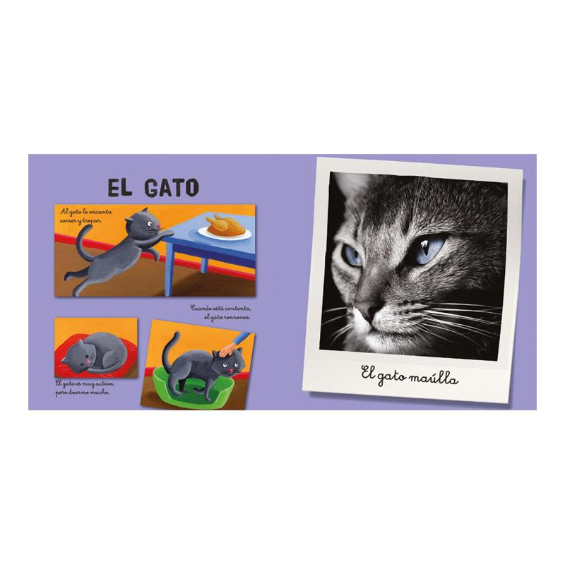 Mi Cofre De Animales