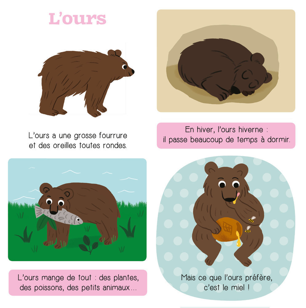 Les Animaux De La Montagne