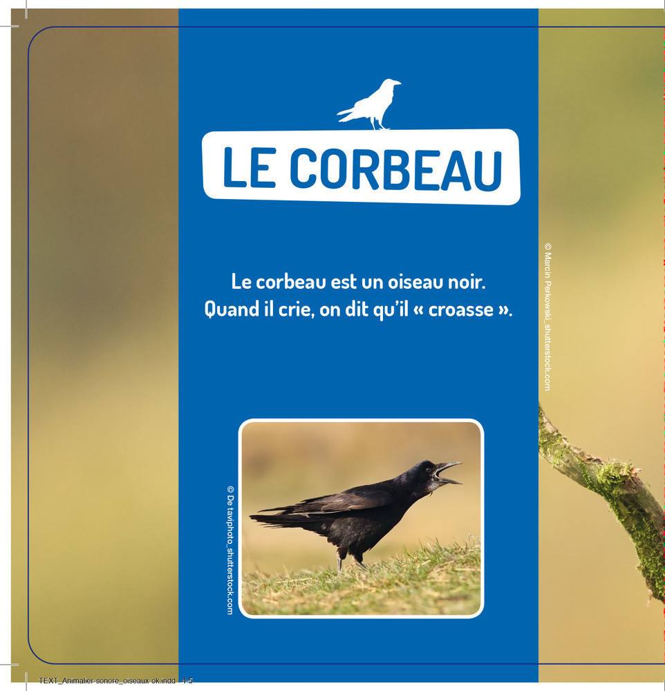 Mes Premiers Sonores - Les Oiseaux
