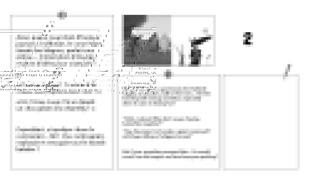 KAMISHIBAI LE LOUP QUI APPRIVOISAIT SES EMOTIONS