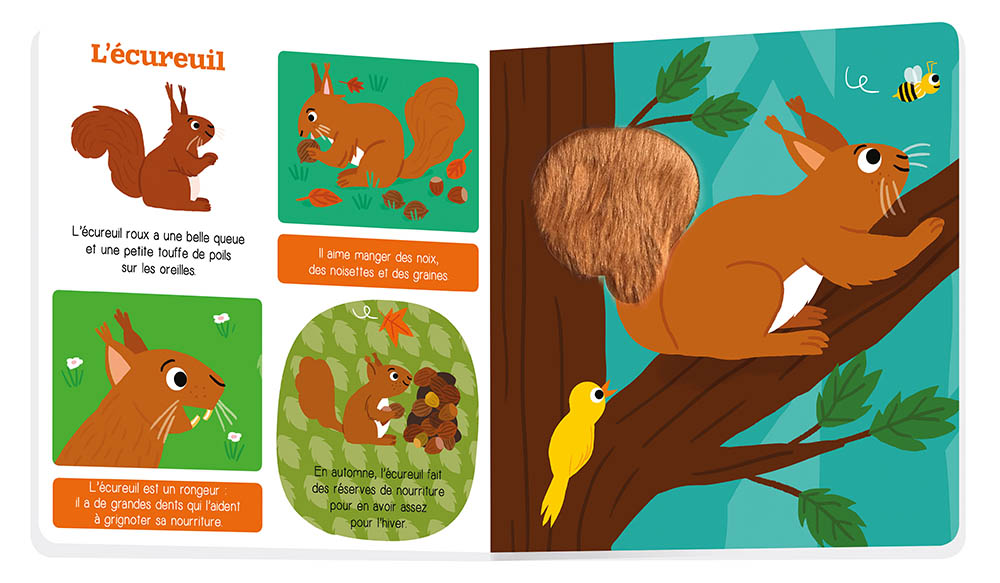 Les Animaux De La Forêt