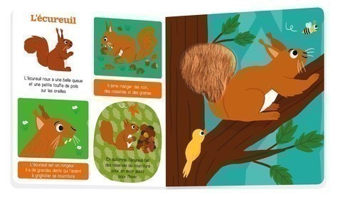 Les Animaux De La Forêt