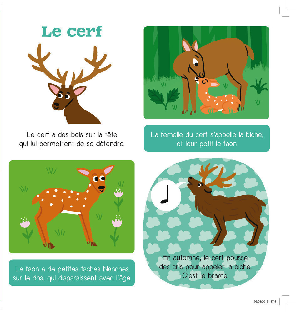 Les Animaux De La Forêt