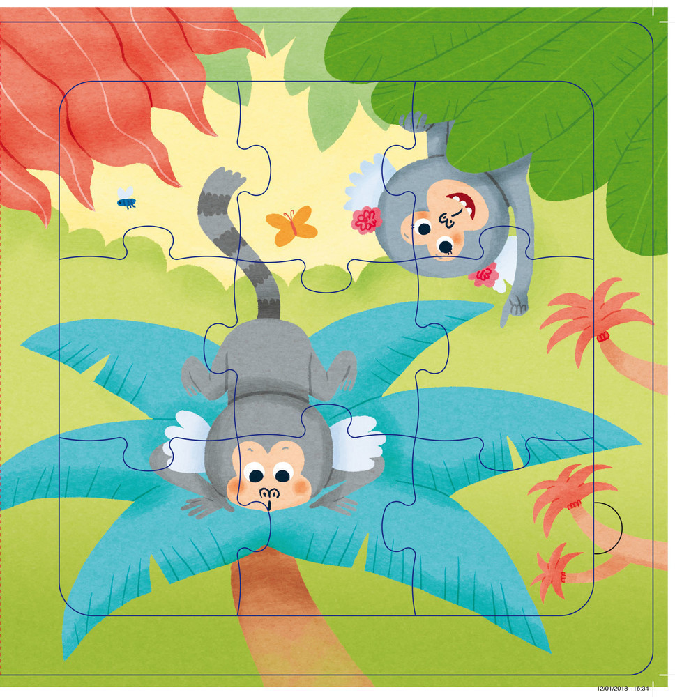Timi The Marmoset Goes On A Journey