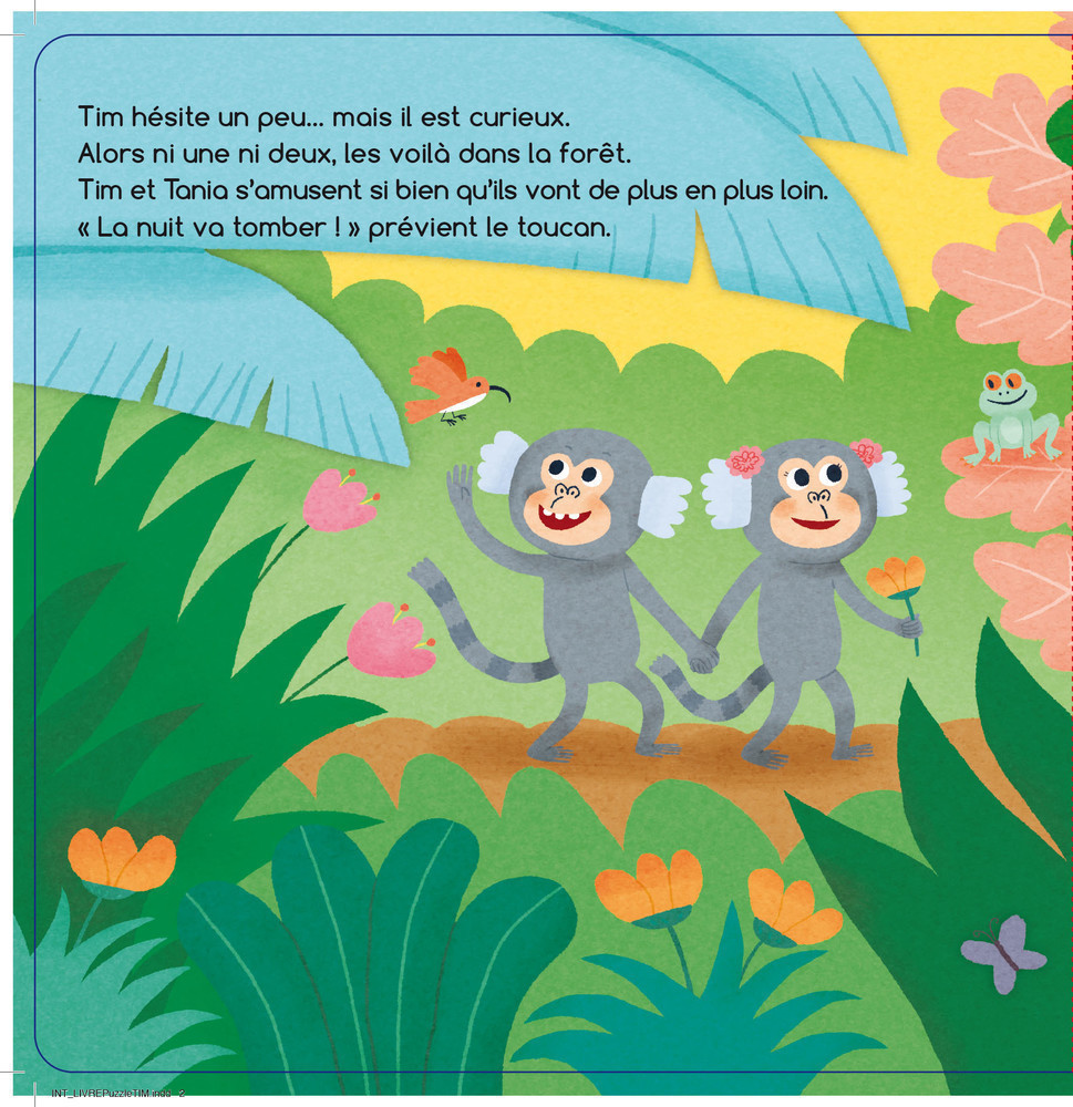 Timi The Marmoset Goes On A Journey