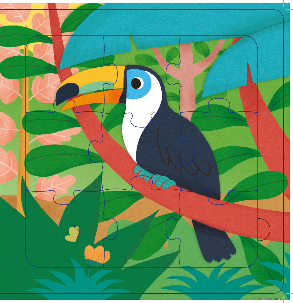 Timi The Marmoset Goes On A Journey