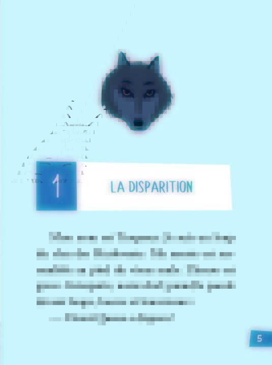L'appel Des Loups - L'ombre Du Grizzly